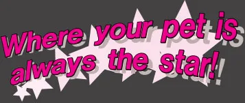 Where your pet is always the star